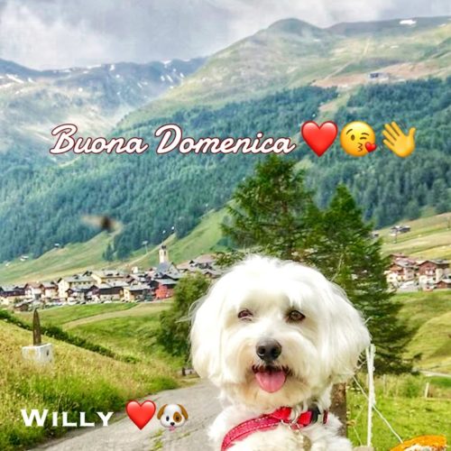 Willy ♥  and the green Livigno