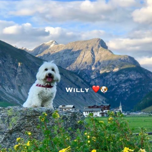 Willy ♥ Livigno