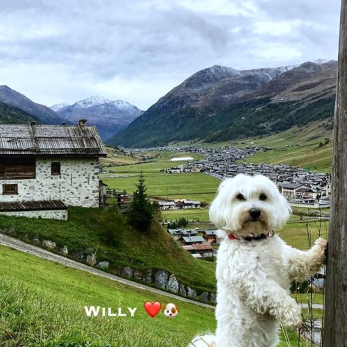 Willy ♥ and Livigno seen from Zona Pemont