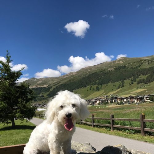 Willy ♥ very young during the summer in Livigno