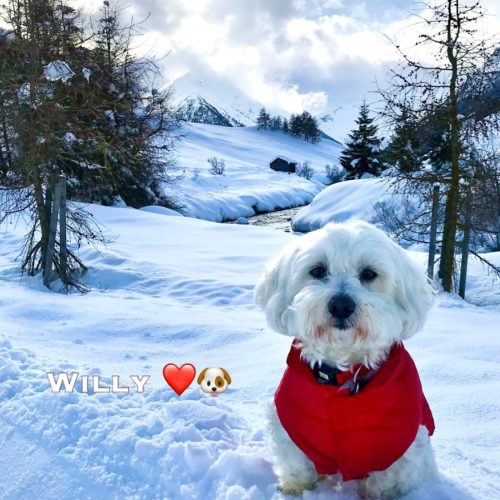 Willy ♥ near the Spöl river in Livigno