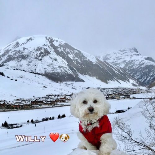Willy ♥ Livigno 2020 02 19