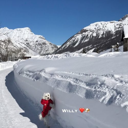 Willy ♥ either I am small or the snow is high
