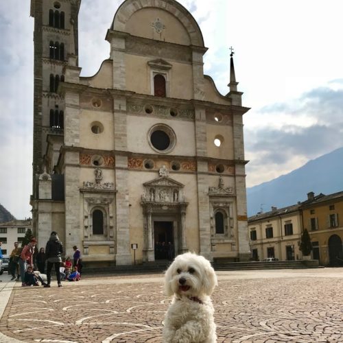 Willy ♥ in front of the Basilica of Tirano