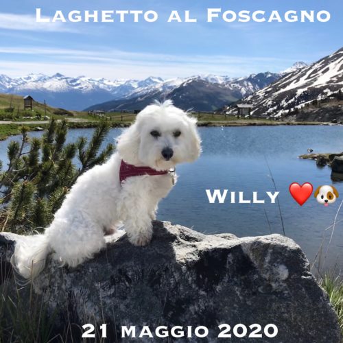 Willy ♥  al Foscagno