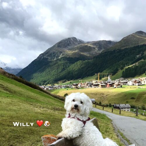 willy_2-09-20