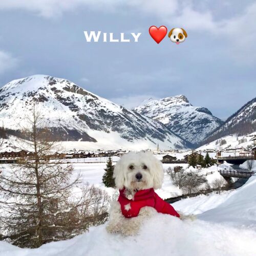 willy_20-12-20