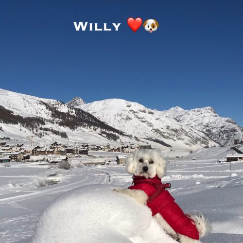 willy_10-01-21