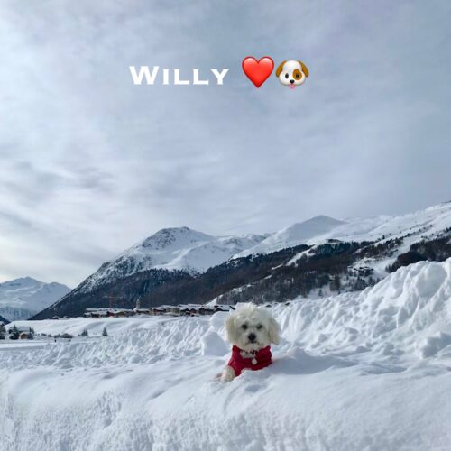 willy_24-01-21