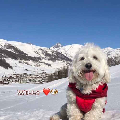 willy_28-02-21